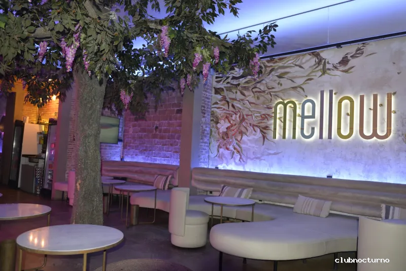 Mellow Shisha Bar & Hookah Lounge