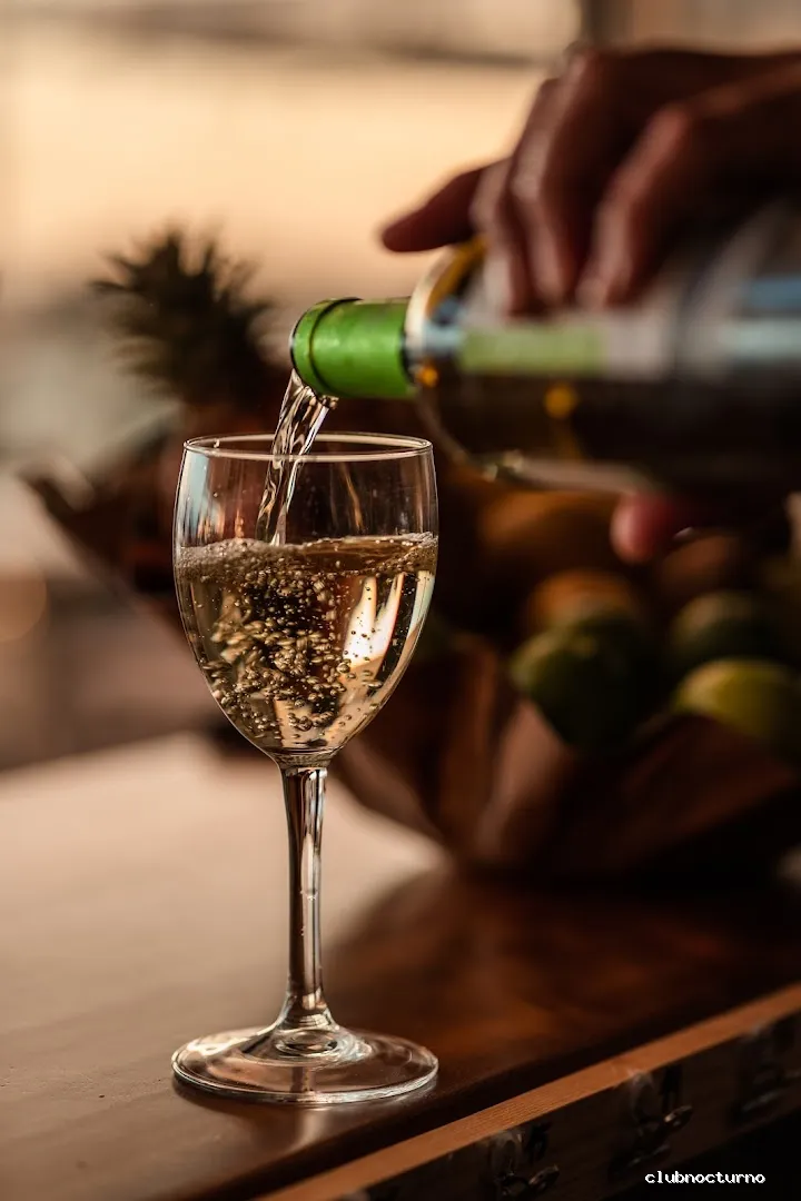 Punta Cana Disco Los Cristianos