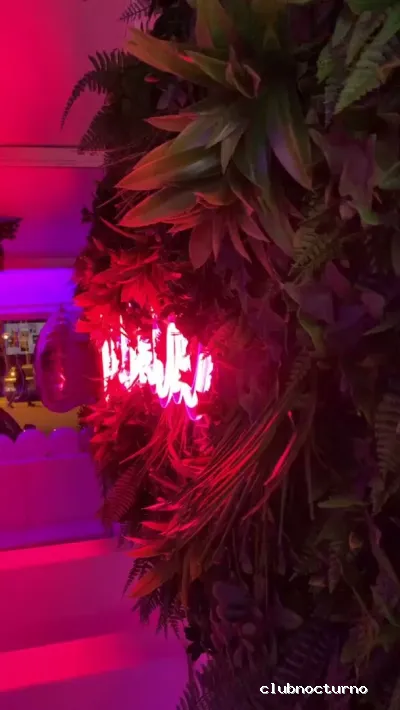 Babilonia Shisha Lounge Bar