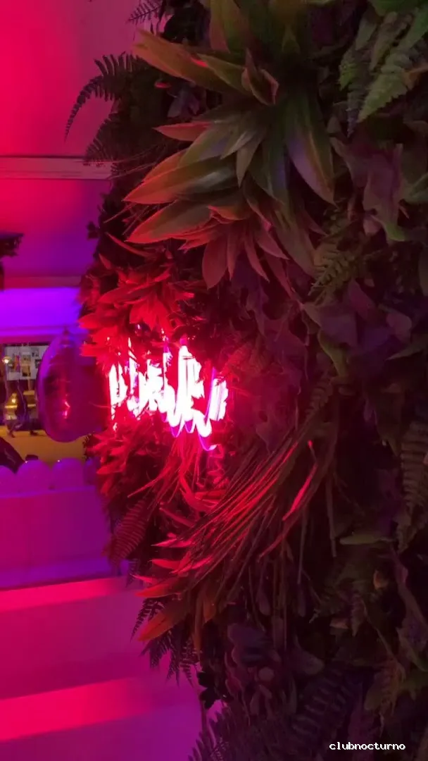 Babilonia Shisha Lounge Bar