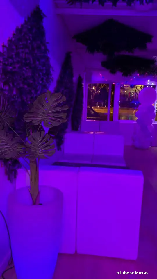 Babilonia Shisha Lounge Bar