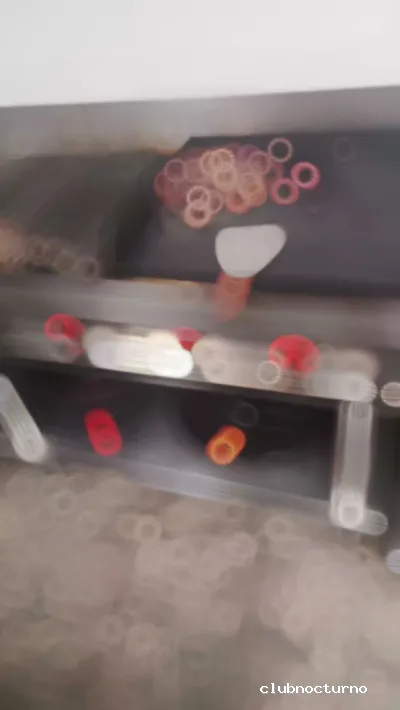 RESTAURANTE EL RINCON DE CHISPITA Y DISCOTECA TENEGUIA