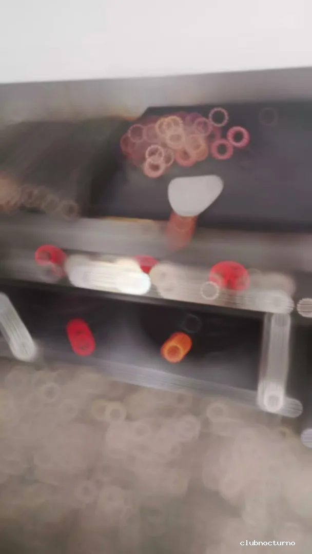 RESTAURANTE EL RINCON DE CHISPITA Y DISCOTECA TENEGUIA