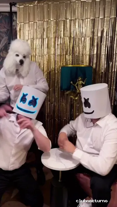 The 1800 Cocktail Bar