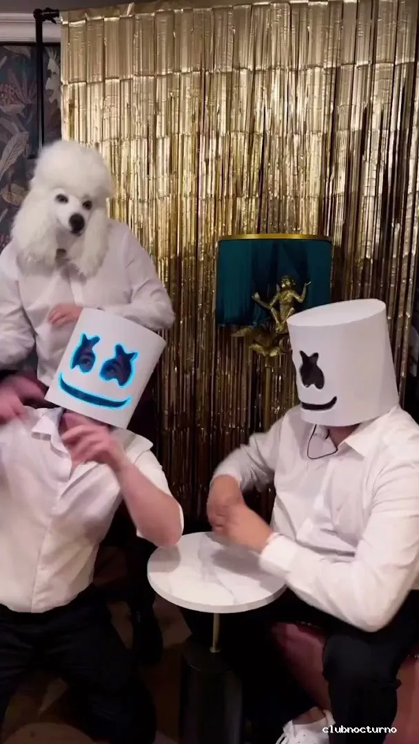 The 1800 Cocktail Bar