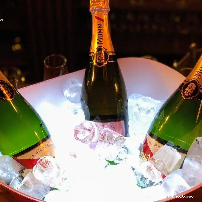 Pub La Perla Negra Irish Club - Salamanca