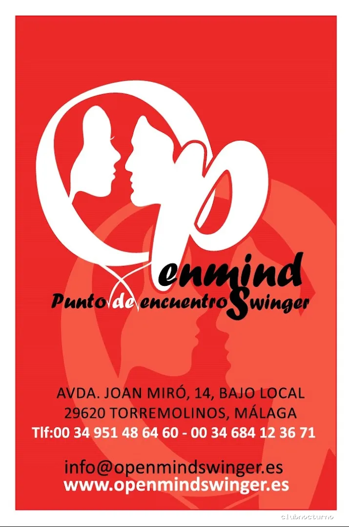 Openmind Swinger