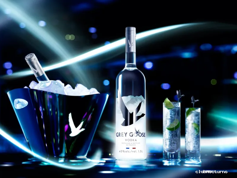 Hibou Shishas & Cocktails