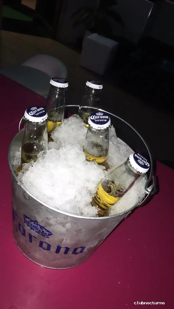 Hibou Shishas & Cocktails