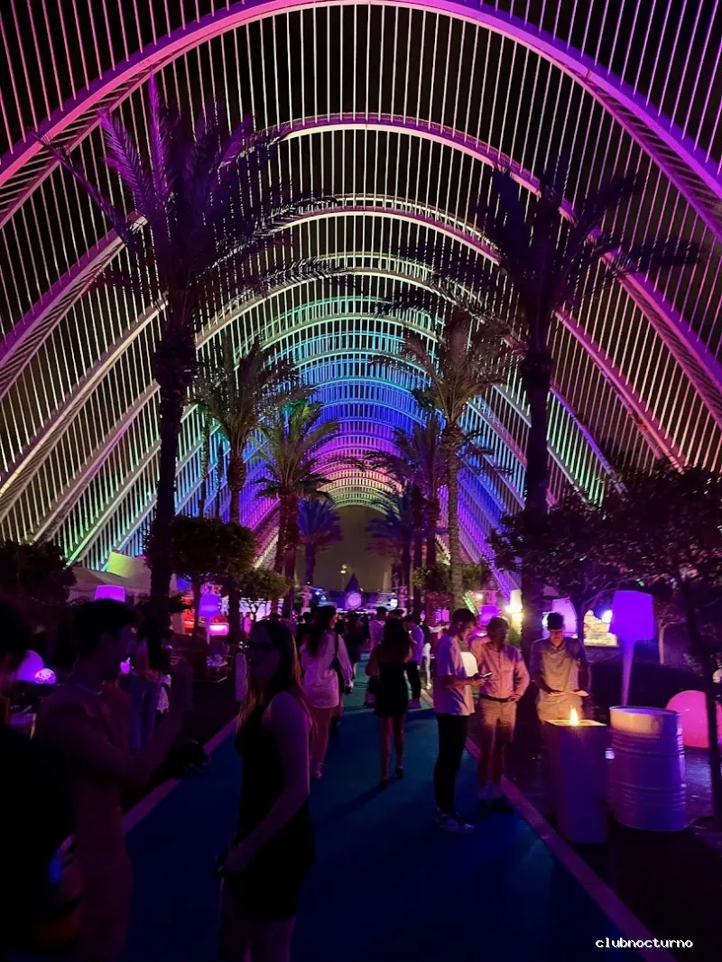 Fiesta Noche Valencia