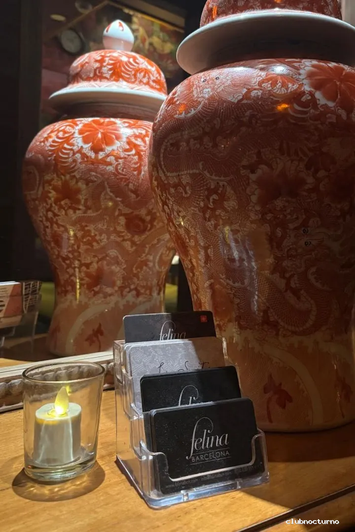 Felina Barcelona Escorts