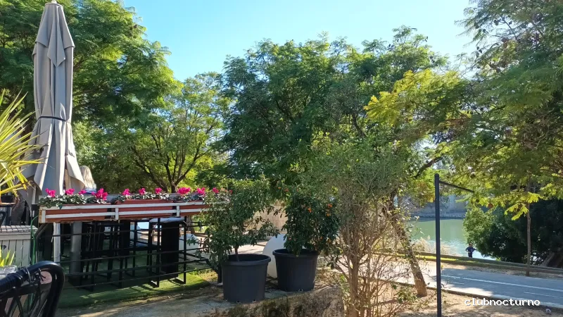 Lounge Terraza Lonja del Barranco