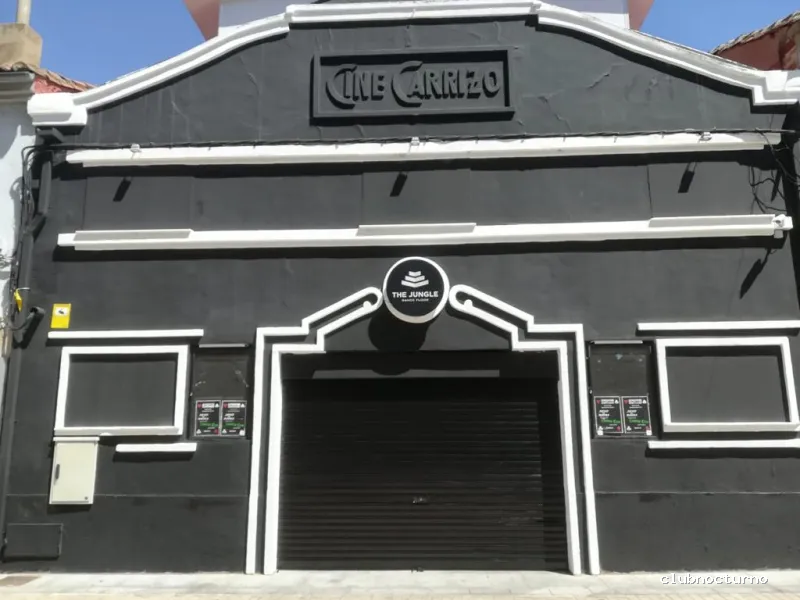 The Jungle Dance Floor