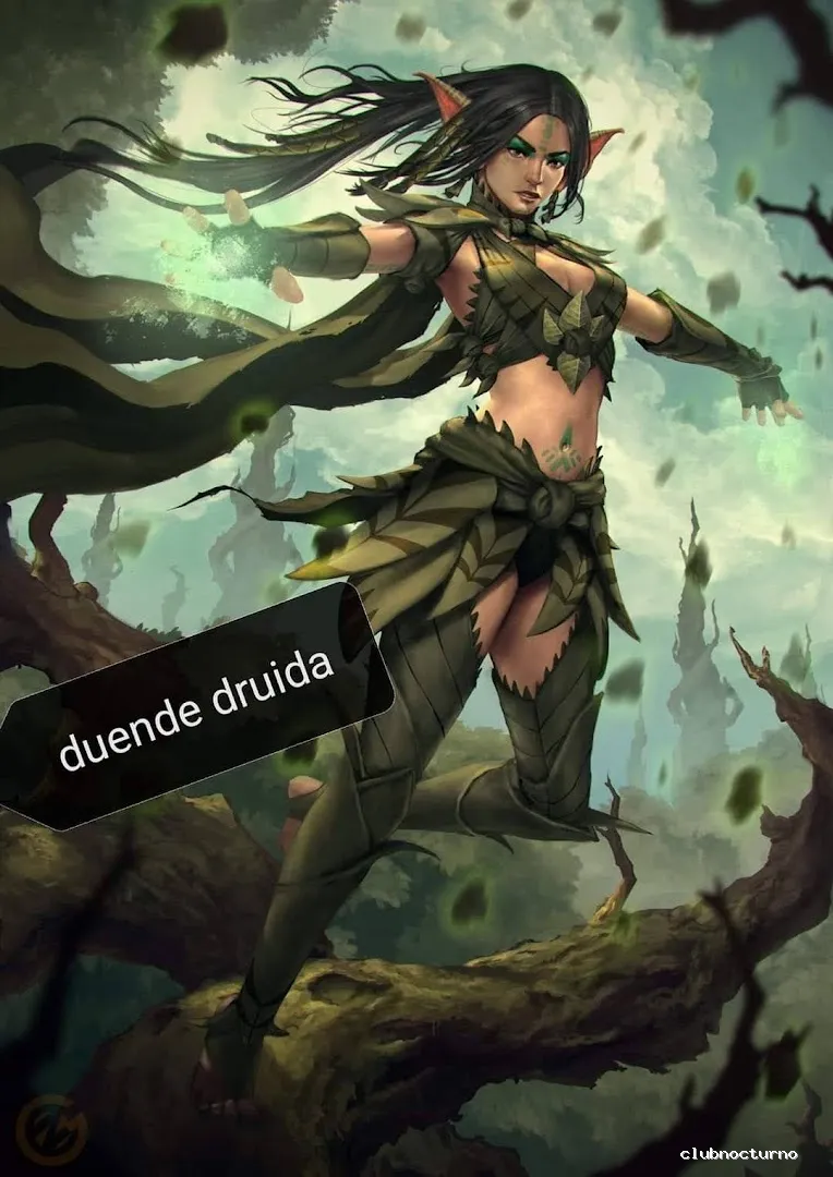 Druidas