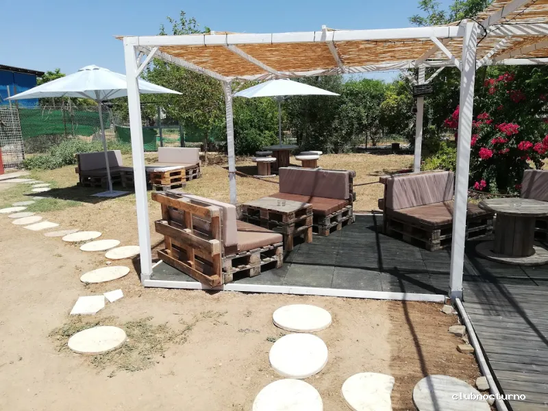 Bar EL CANTINERO COPAS