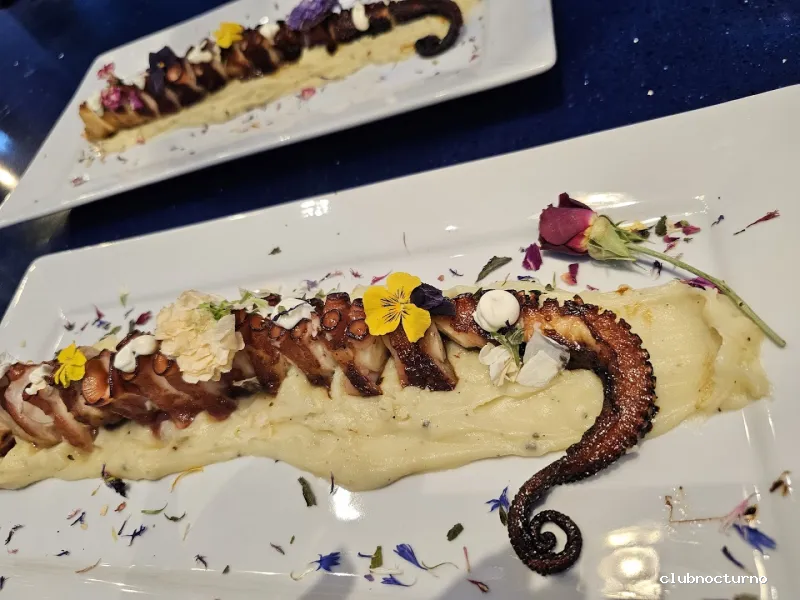 Tropical Paradise Gastro-Bar-Discoteca