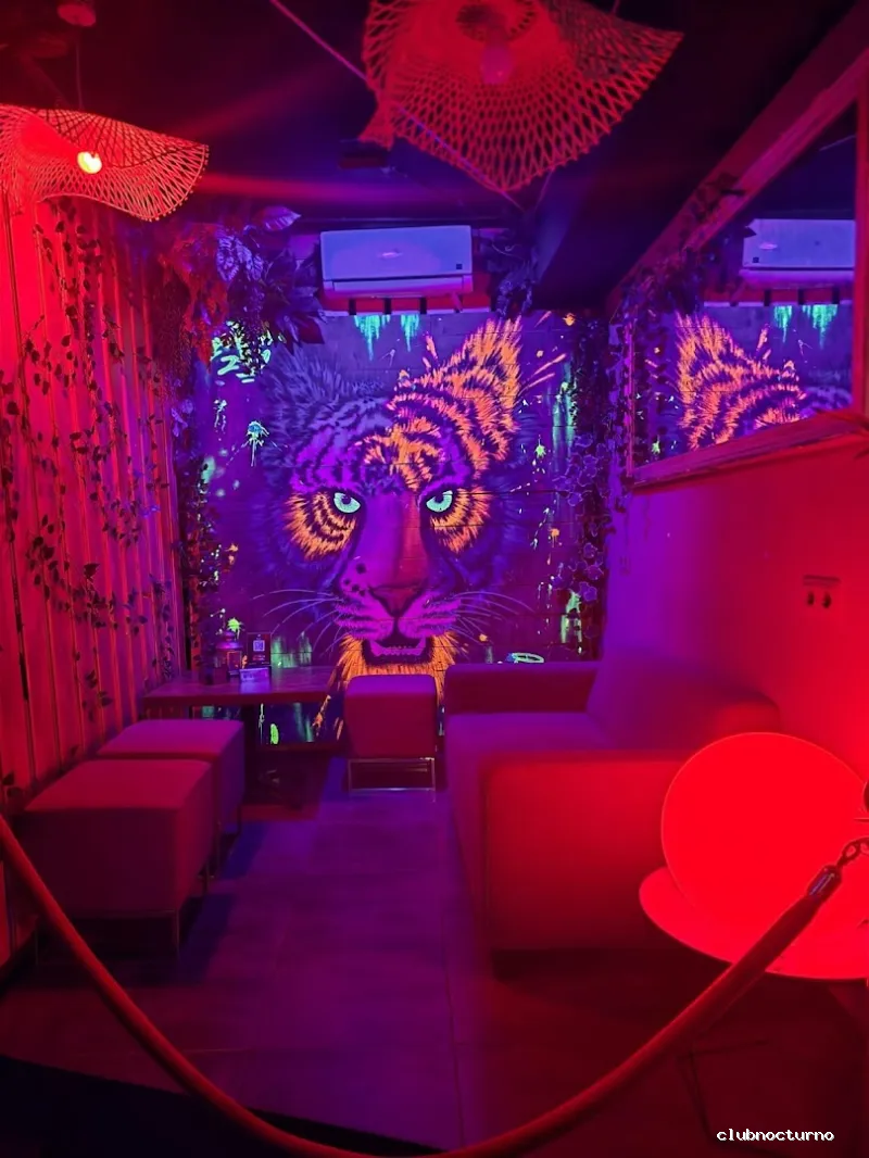Bavaro Lounge Disco