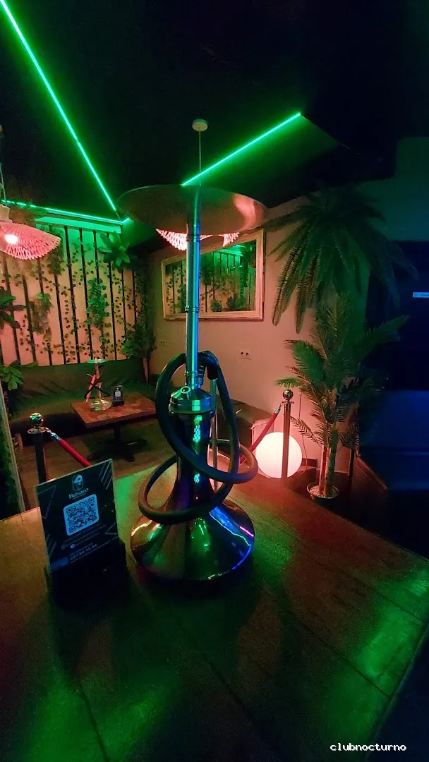 Bavaro Lounge Disco