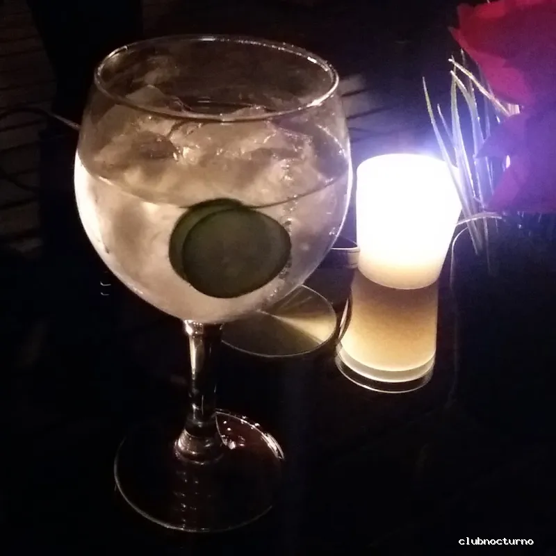 LOTUS Cocktails&Lounge