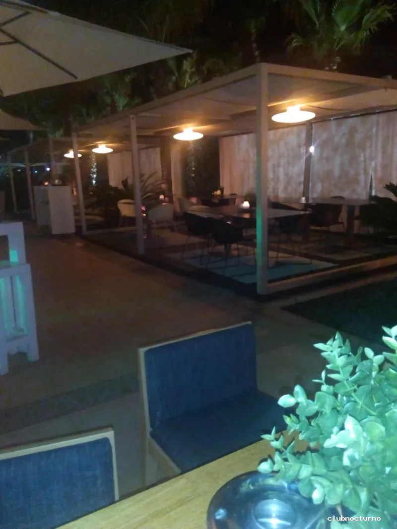 LOTUS Cocktails&Lounge