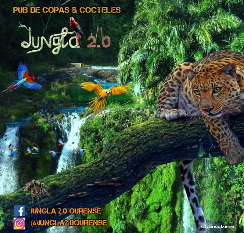 Jungla 2.0