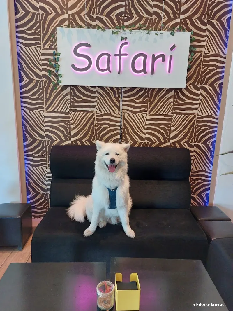 𝐒𝐀𝐅𝐀𝐑𝐈 𝐂𝐨𝐟𝐟𝐞𝐞 & 𝐌𝐮𝐬𝐢𝐜