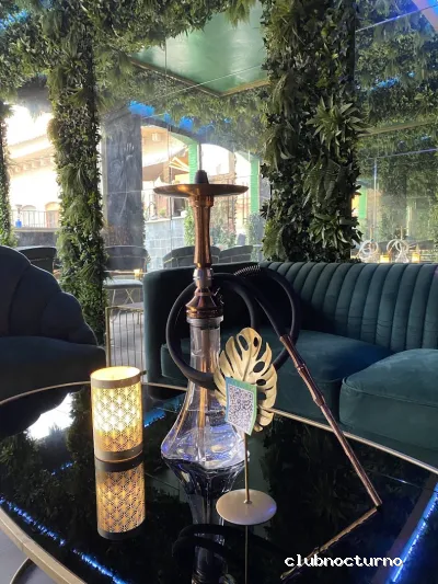 HOOKAHLIA - BEACH LOUNGE