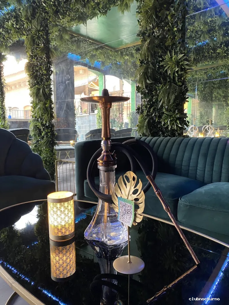 HOOKAHLIA - BEACH LOUNGE