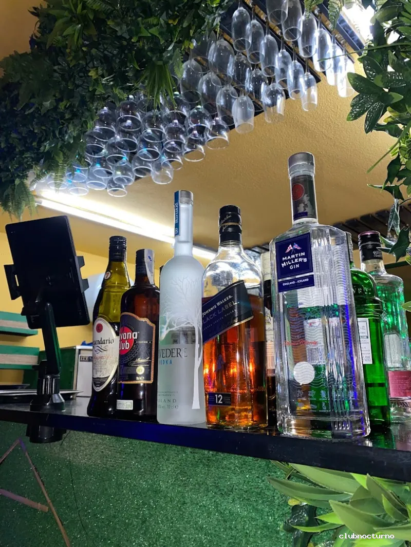 HOOKAHLIA - BEACH LOUNGE