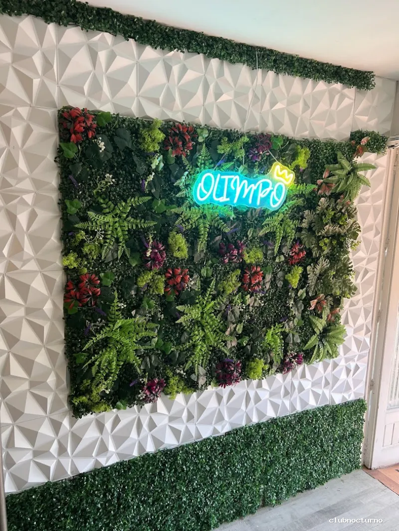 OLIMPO SHISHA LOUNGE