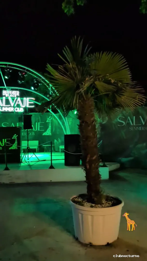 DISCOTECA SALVAJE