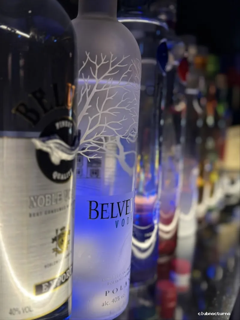 OCHO SHISHA & COCKTAIL LOUNGE/ CACHIMBA CENTRO ALICANTE