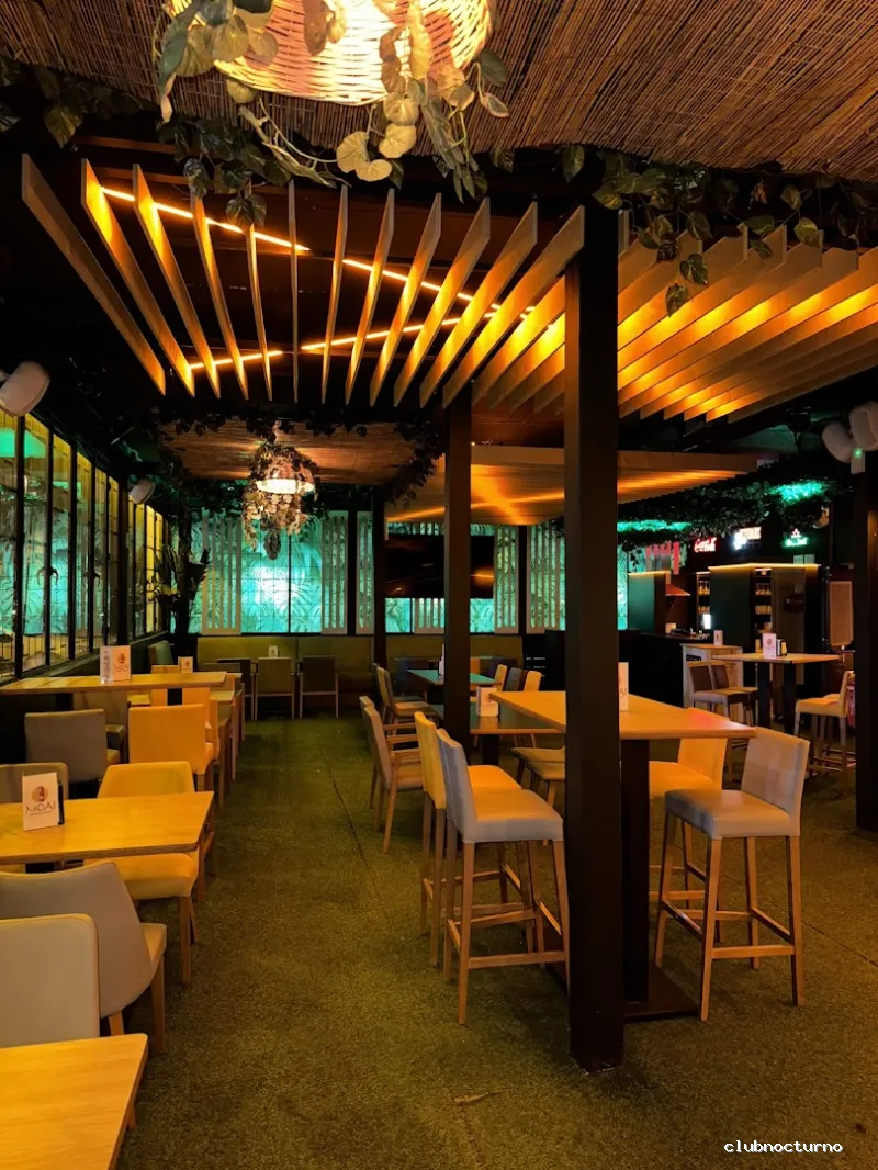 MOAI Moments & Drinks