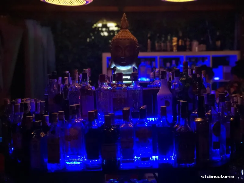 Terraza Bambú Verano