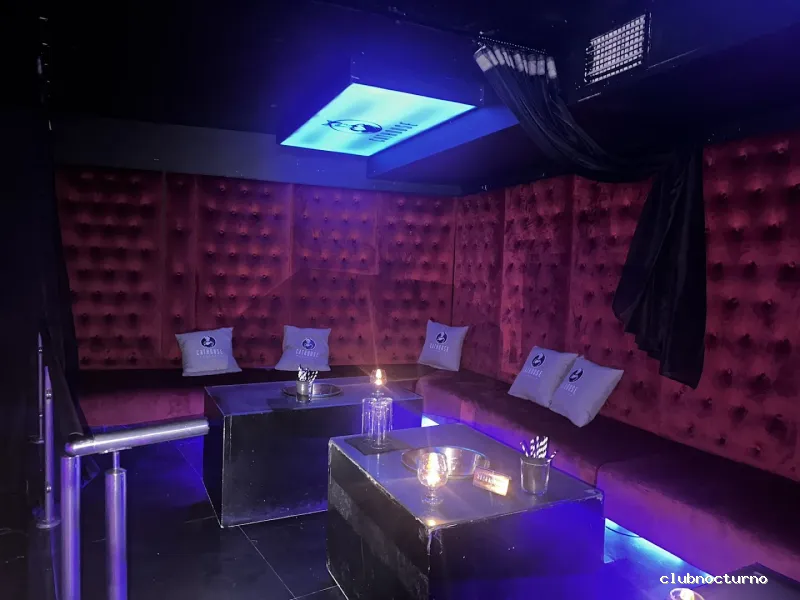 CATHOUSE MARBELLA