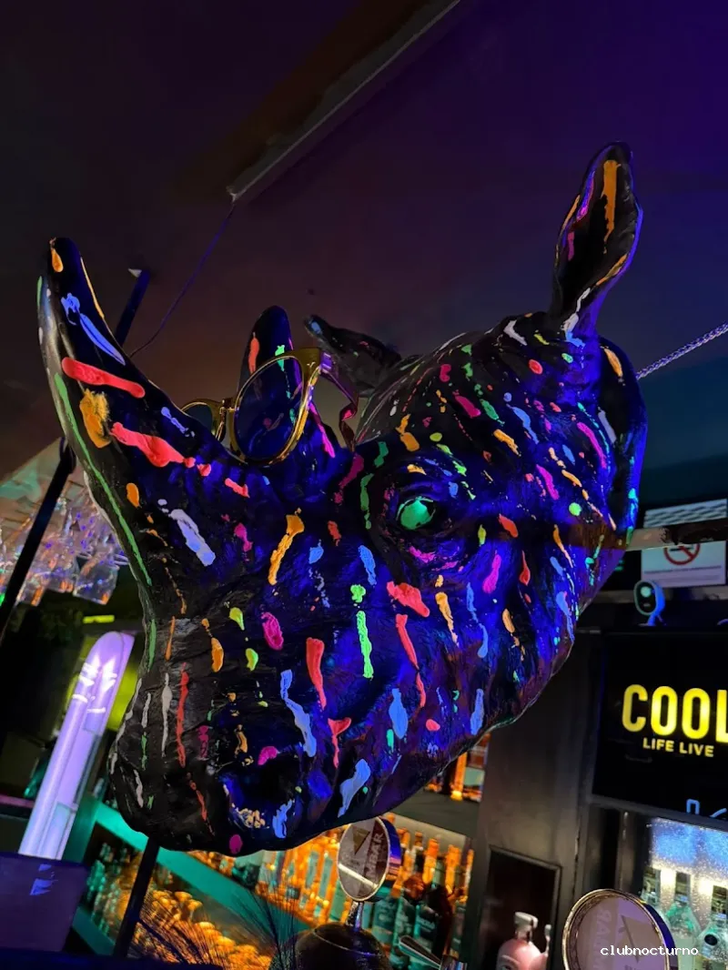 Cool club - Zaragoza