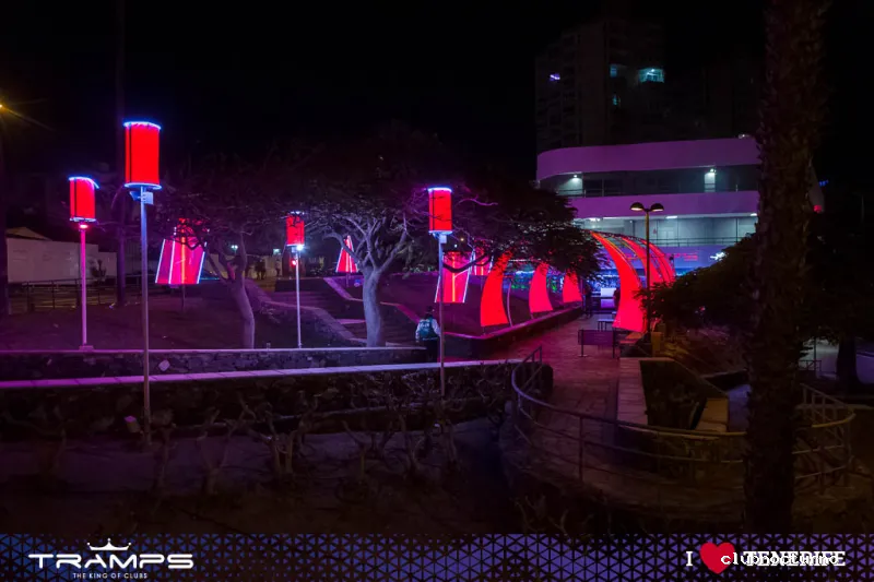 Tramps Tenerife - The King of Clubs