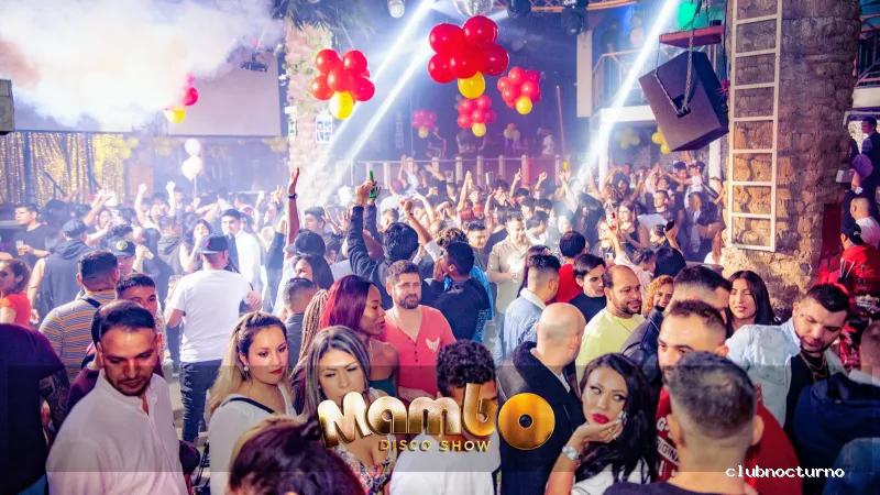 Mambo disco show
