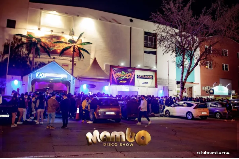 Mambo disco show