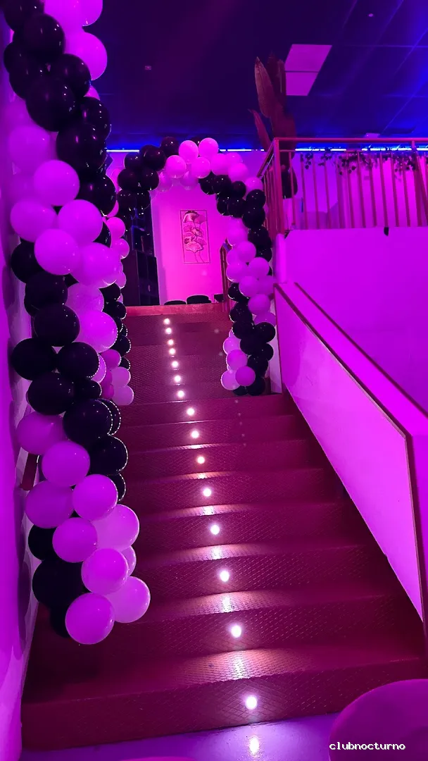 KACHE ALICANTE DISCOTECA