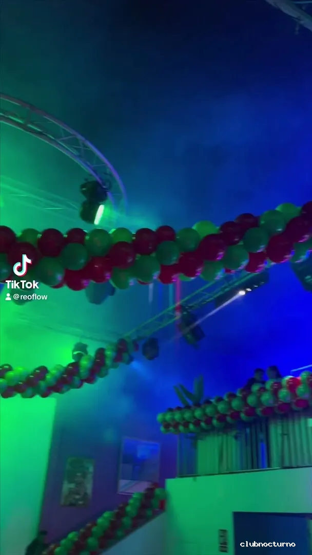 KACHE ALICANTE DISCOTECA