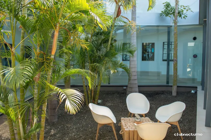 Sugar Girls Escorts Tenerife