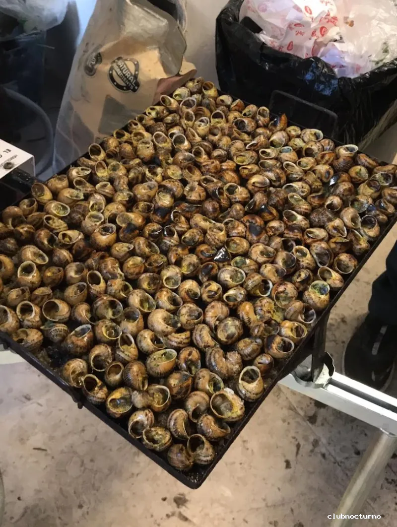 La Casa de les 3 Àmfores