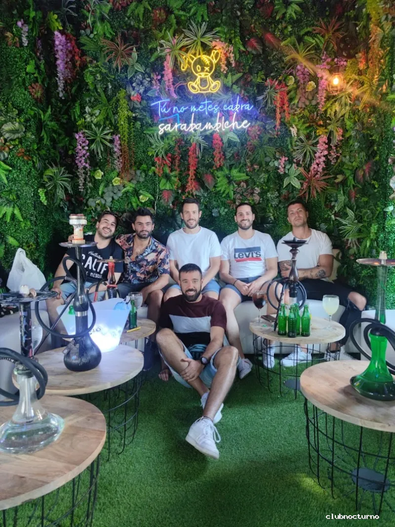 Hibou Shishas & Cocktails