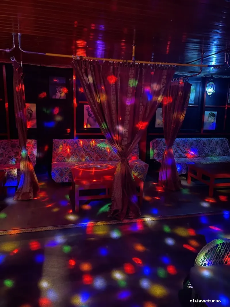 Bar night club Las gatitas