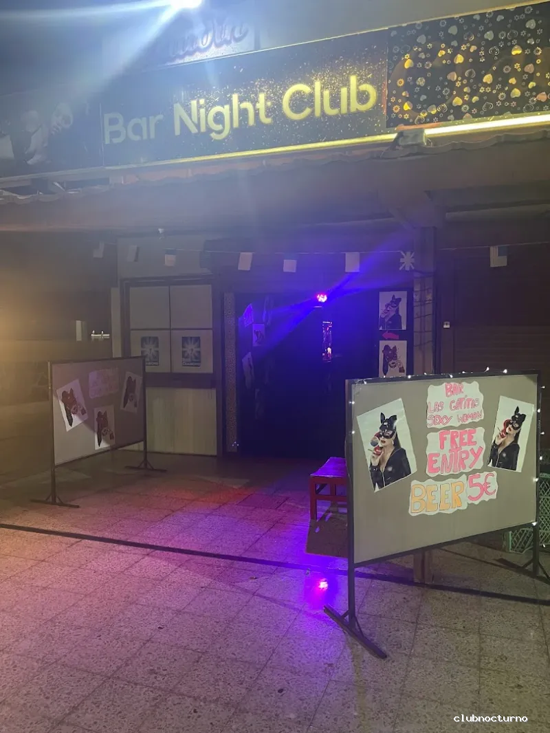 Bar night club Las gatitas