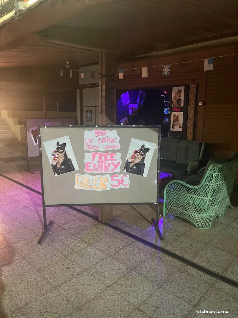 Bar night club Las gatitas