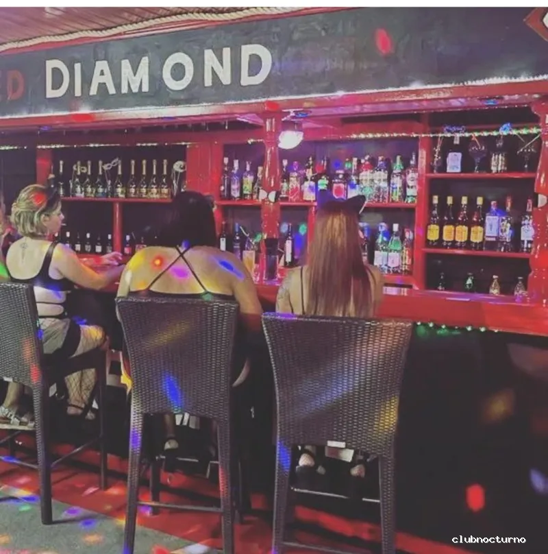 Bar night club Las gatitas