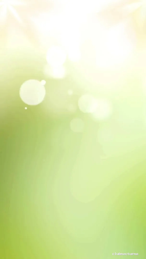 Gato y Luna - Secret Garden