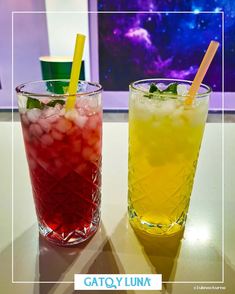 Gato y Luna - Secret Garden